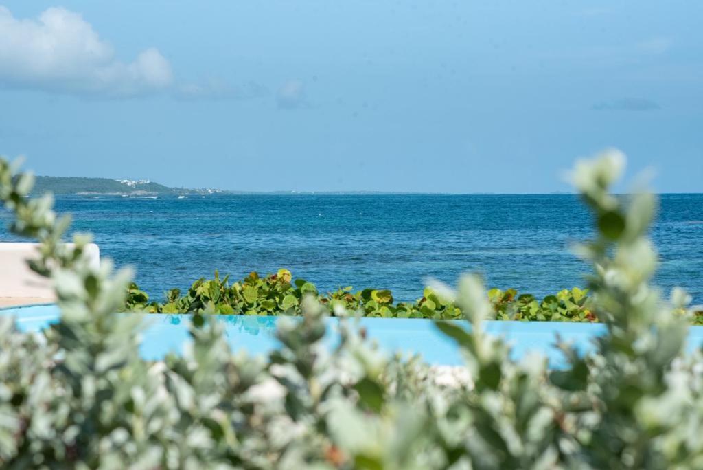 Pasha - Ocean View Apartment Sainte-Anne  Exterior photo